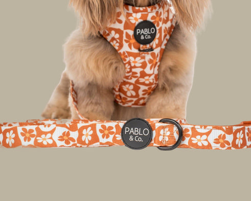 Pablo & Co. RETRO DAZIE Dog Leash